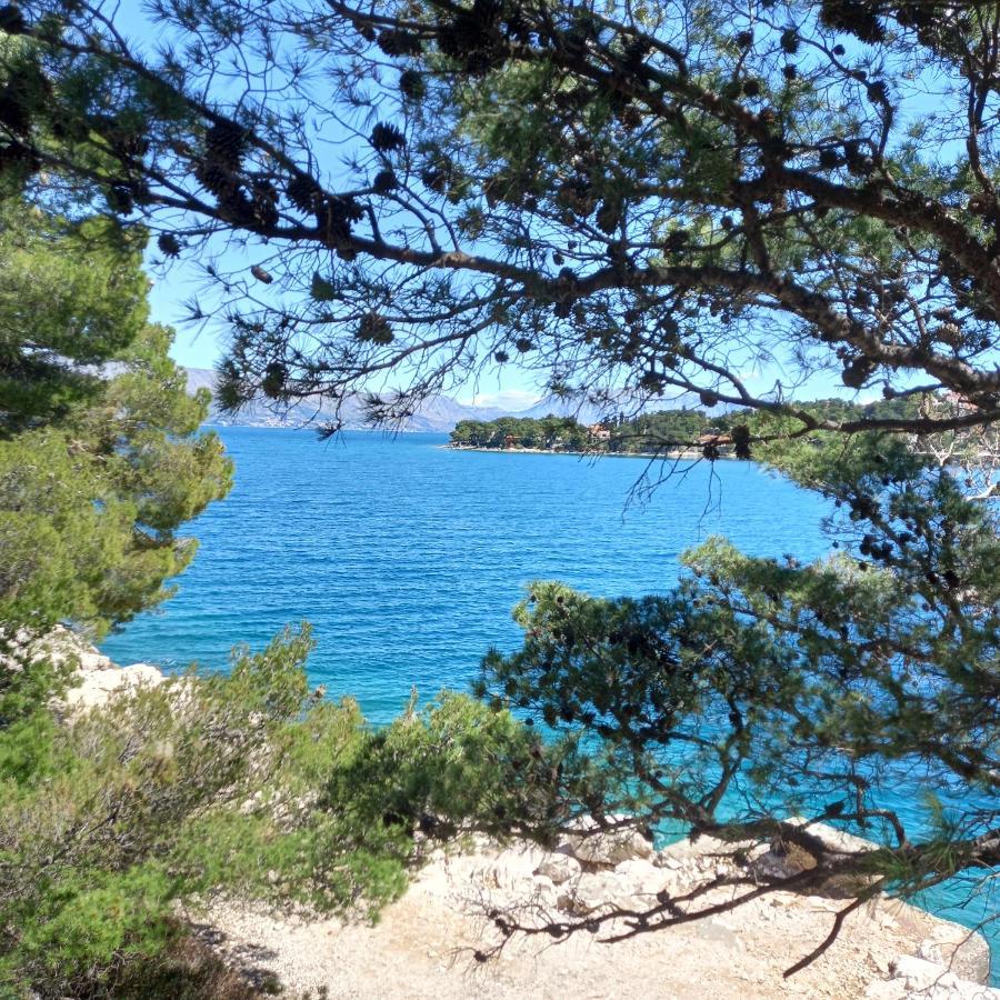 Kuca Za Odmor Skalina - Sea View Villa Splitska Bagian luar foto