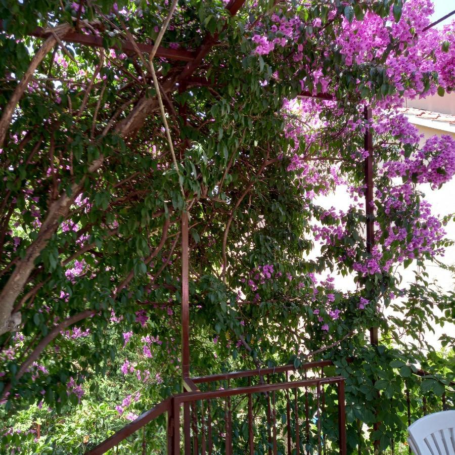 Kuca Za Odmor Skalina - Sea View Villa Splitska Bagian luar foto
